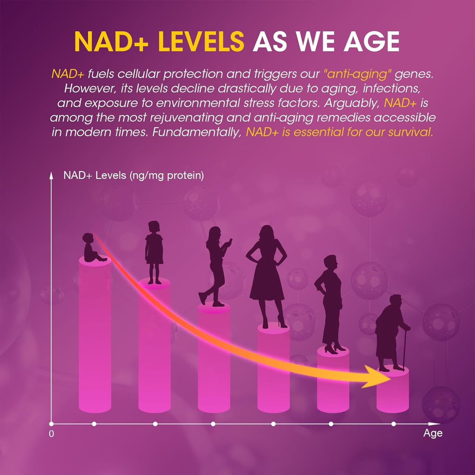 Gallery image for Amazon Listing Images for NAD Supplements